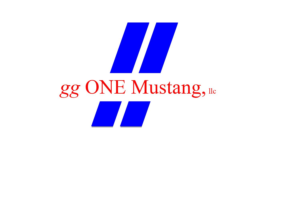 gg One Mustang, Lillington, N.C.